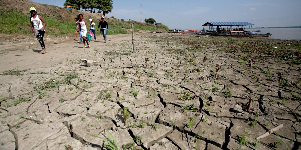 Fenómeno del niño en Colombia 2025 y cómo afecta al café colombiano
